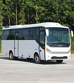 Midibüs