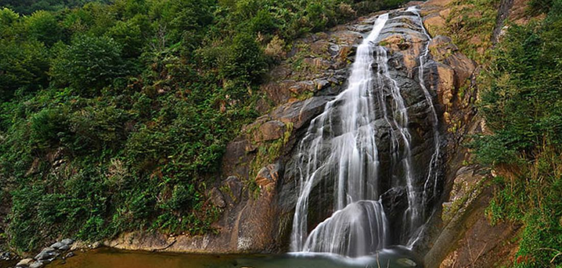 Private Daily Tour  Rize Tour