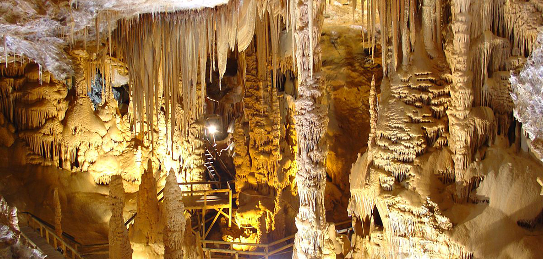 Private Daily Tour Hamsiköy - Karaca Package
