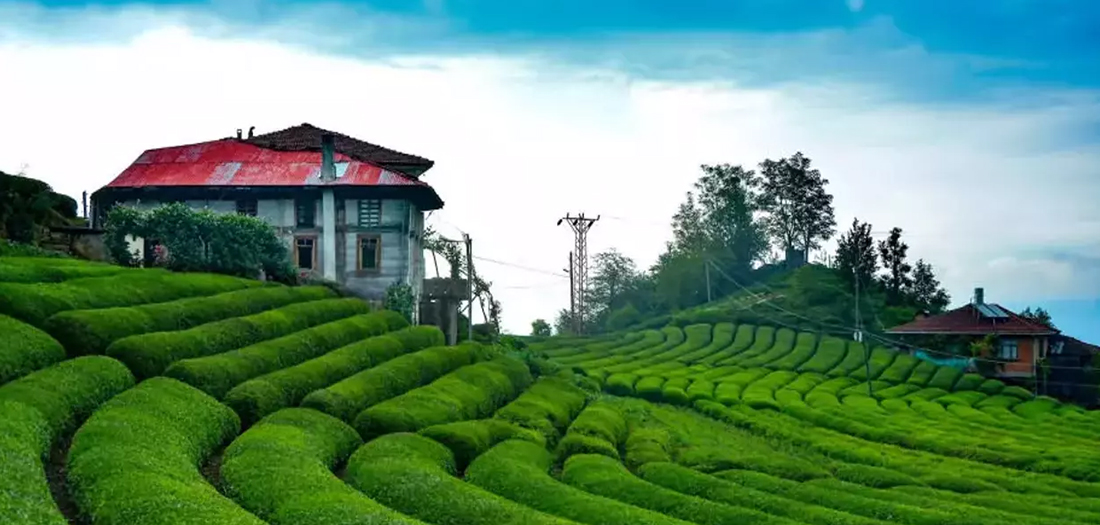 Trabzon Departure Special Daıly Rize Tour